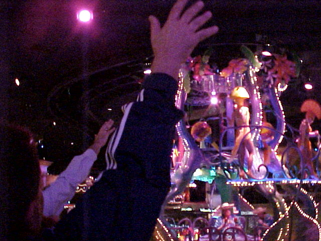 DD8FLBeadCatchers.jpg, 84212 bytes, 3/17/01